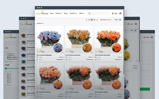 webshop-screens
