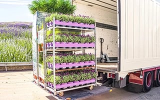 grower-truck-loading-flowers