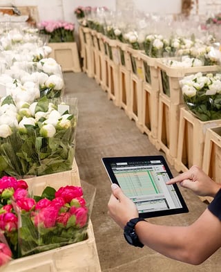 grower-tablet-flowers-stock